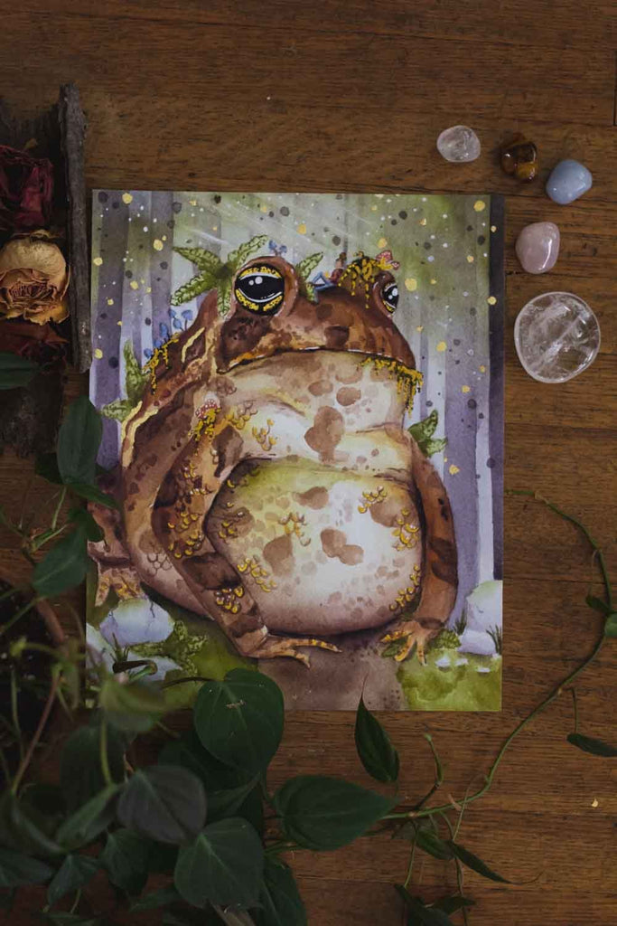 Old Toad 8x10” Print